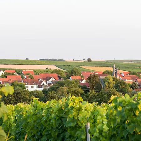 住宿加早餐酒店 Weingut Und Gaestehaus Henrici