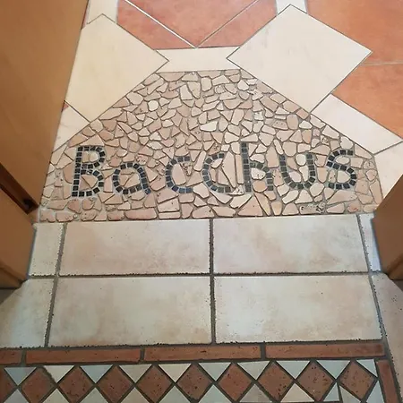 Weingut Und Gaestehaus Henrici Friesenheim is an Ortsgemeinde