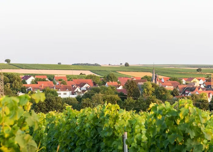 Nocleg ze śniadaniem Weingut Und Gaestehaus Henrici